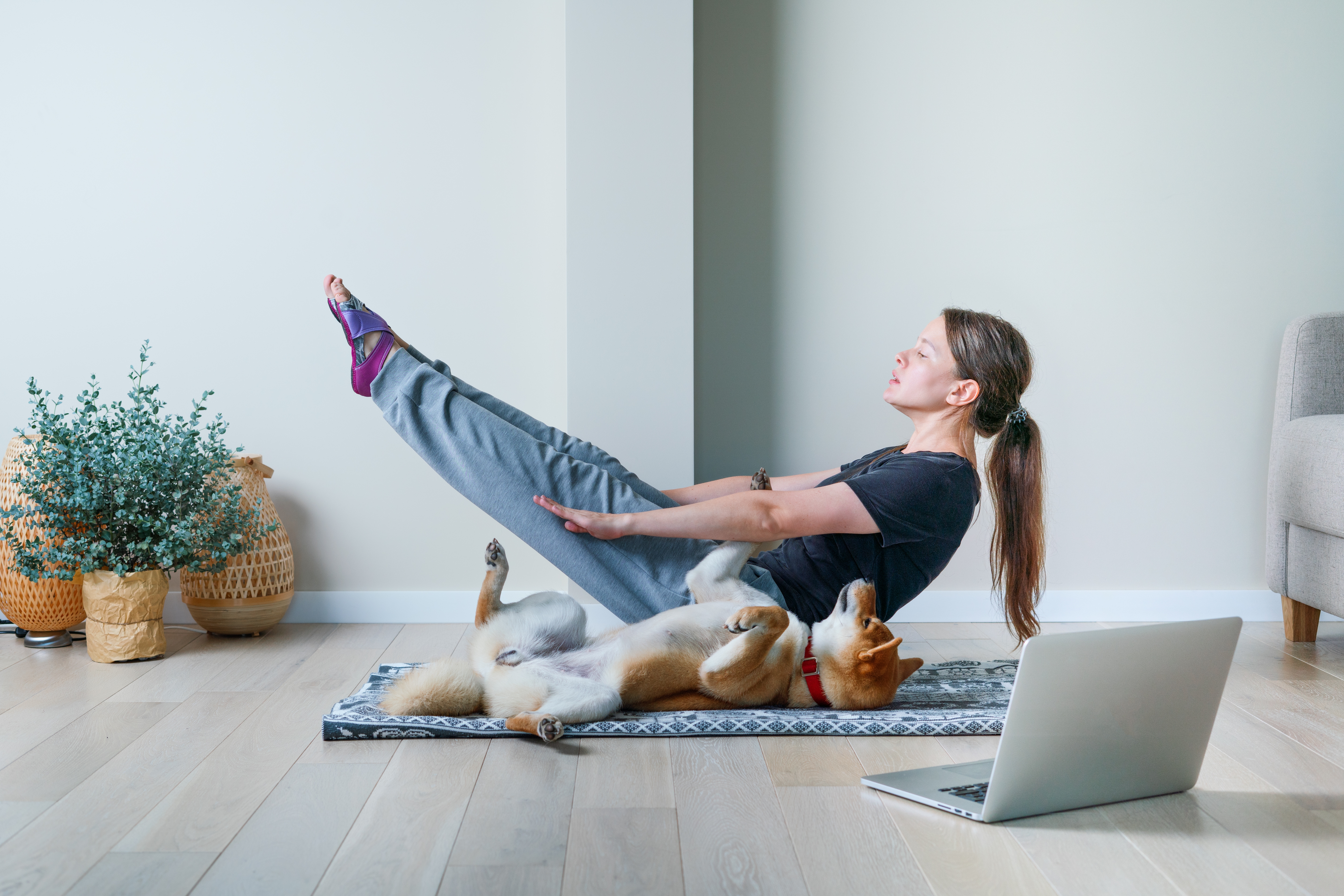 Doga yoga is the practice of yoga as exercise with dogs. Online yoga with domestic dog